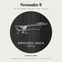 pilot Pipistrel photo 1