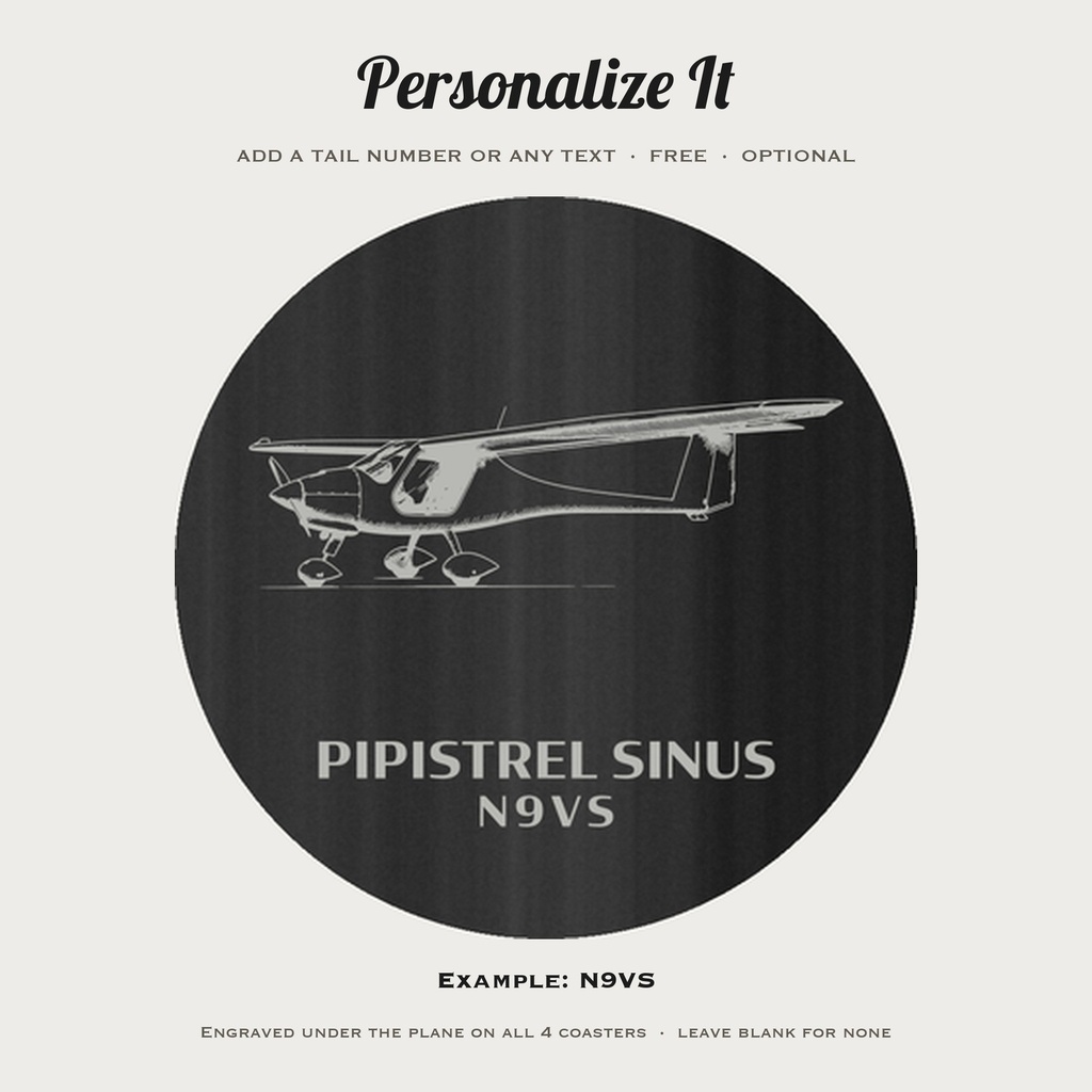 pilot Pipistrel photo 1