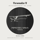 pilot Pipistrel photo 1