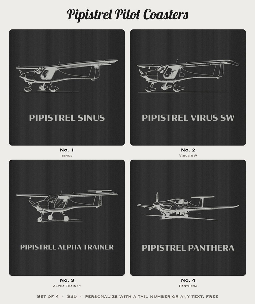 pilot Pipistrel photo 4
