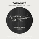 pilot Cirrus photo 1