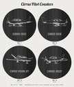 pilot Cirrus photo 2