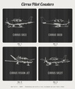 pilot Cirrus photo 4